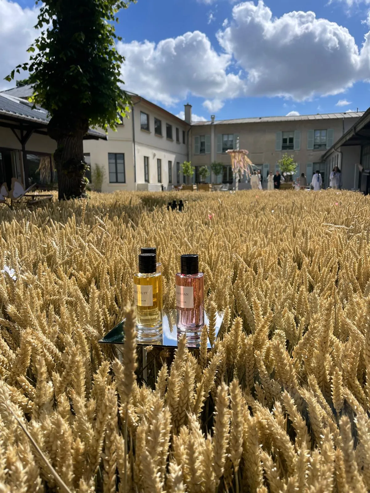 Dior · Installation champ de blé pour lancement parfum
